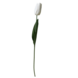 Greenmoods Kunstig Tulipan Real Touch Hvit 45 cm