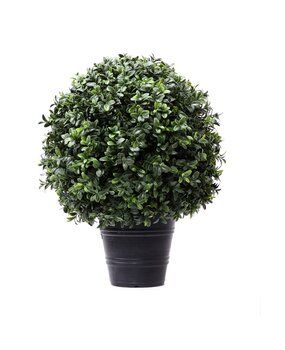 Greenmoods Kunstig Buksbom Romerstil i Potte 40cm