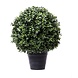 Greenmoods Kunstig Buksbom Romerstil i Potte 40cm