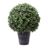 Greenmoods Kunstig Buksbom Romerstil i Potte 60cm