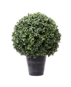 Greenmoods Kunstig Buksbom Romerstil i Potte 60cm