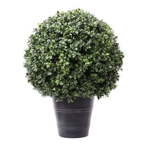 Greenmoods Kunstig Buksbom Romerstil i Potte 60cm