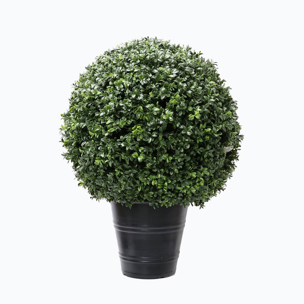 Greenmoods Kunstig Buksbom Romerstil i Potte 70cm