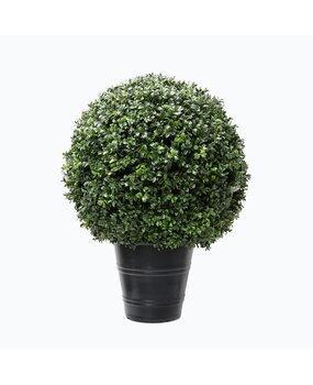 Greenmoods Kunstig Buksbom Romerstil i Potte 70cm