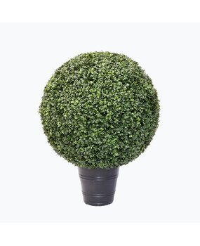 Greenmoods Kunstig Buksbom Romerstil i Potte 80cm