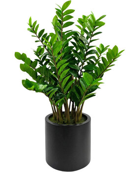 Greenmoods Kunstig Zamioculcas i Sort Krukke 120cm