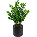 Greenmoods Kunstig Zamioculcas i Sort Krukke 120cm