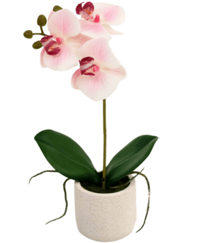 Greenmoods Kunstig Orkidé Real Touch Mini Lys Rosa 30cm