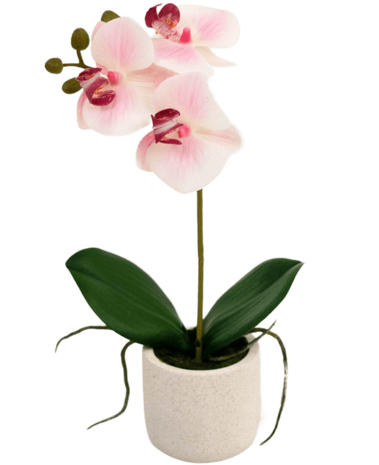 Greenmoods Kunstig Orkidé Real Touch Mini Lys Rosa 30cm