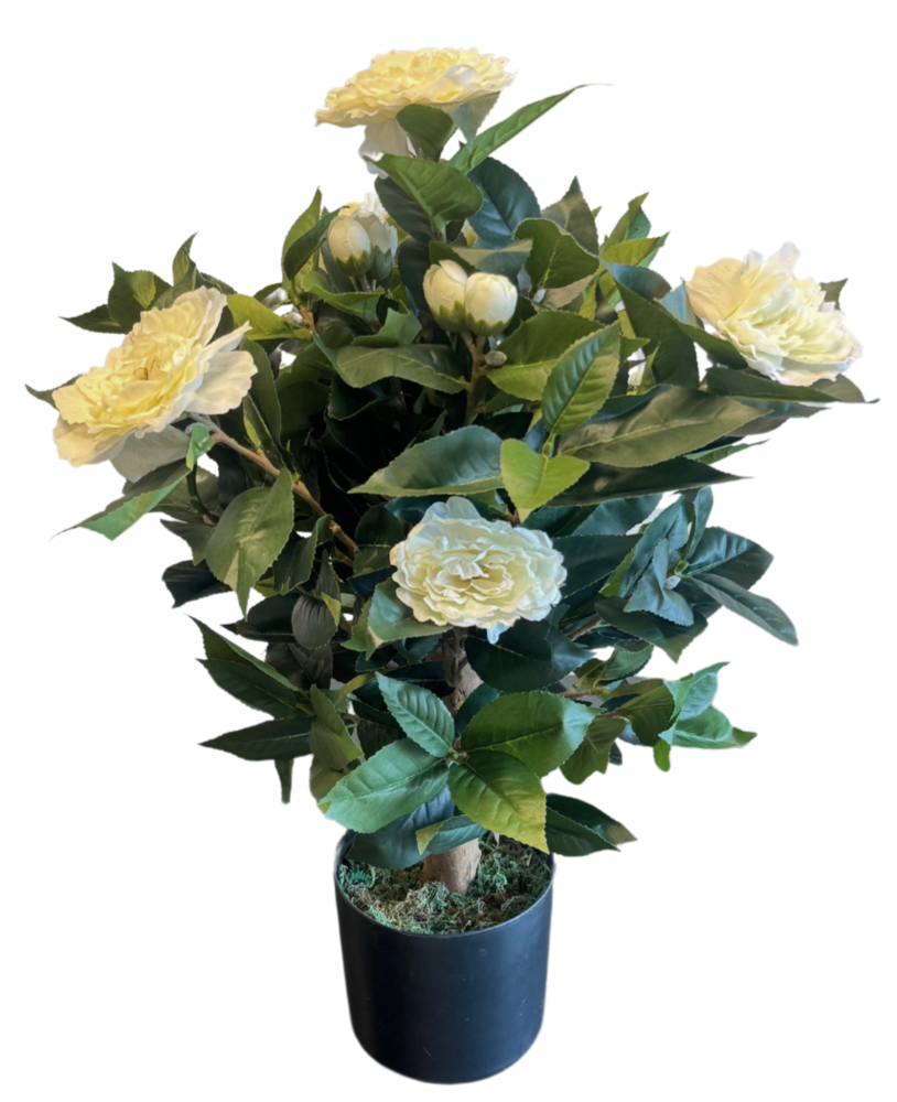 Greenmoods Kunstig Camellia Tre 60 cm