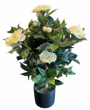 Greenmoods Kunstig Camellia Tre 60 cm