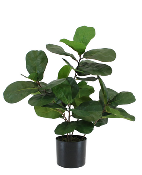 Greenmoods Kunstig Fiolinfiken 60cm