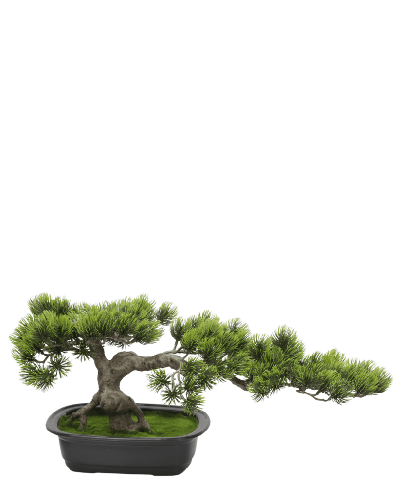 Greenmoods Kunstig Bonsai Tre Furu UV 25 cm