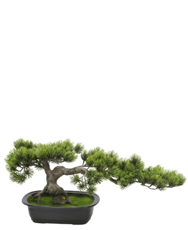 Greenmoods Kunstig Bonsai Tre Furu UV 25 cm