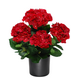 Greenmoods Kunstig Hortensia busk Rød UV 50cm