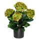 Greenmoods Kunstig Hortensia busk Magical Grønn UV 50cm