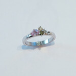 Ring Vienna