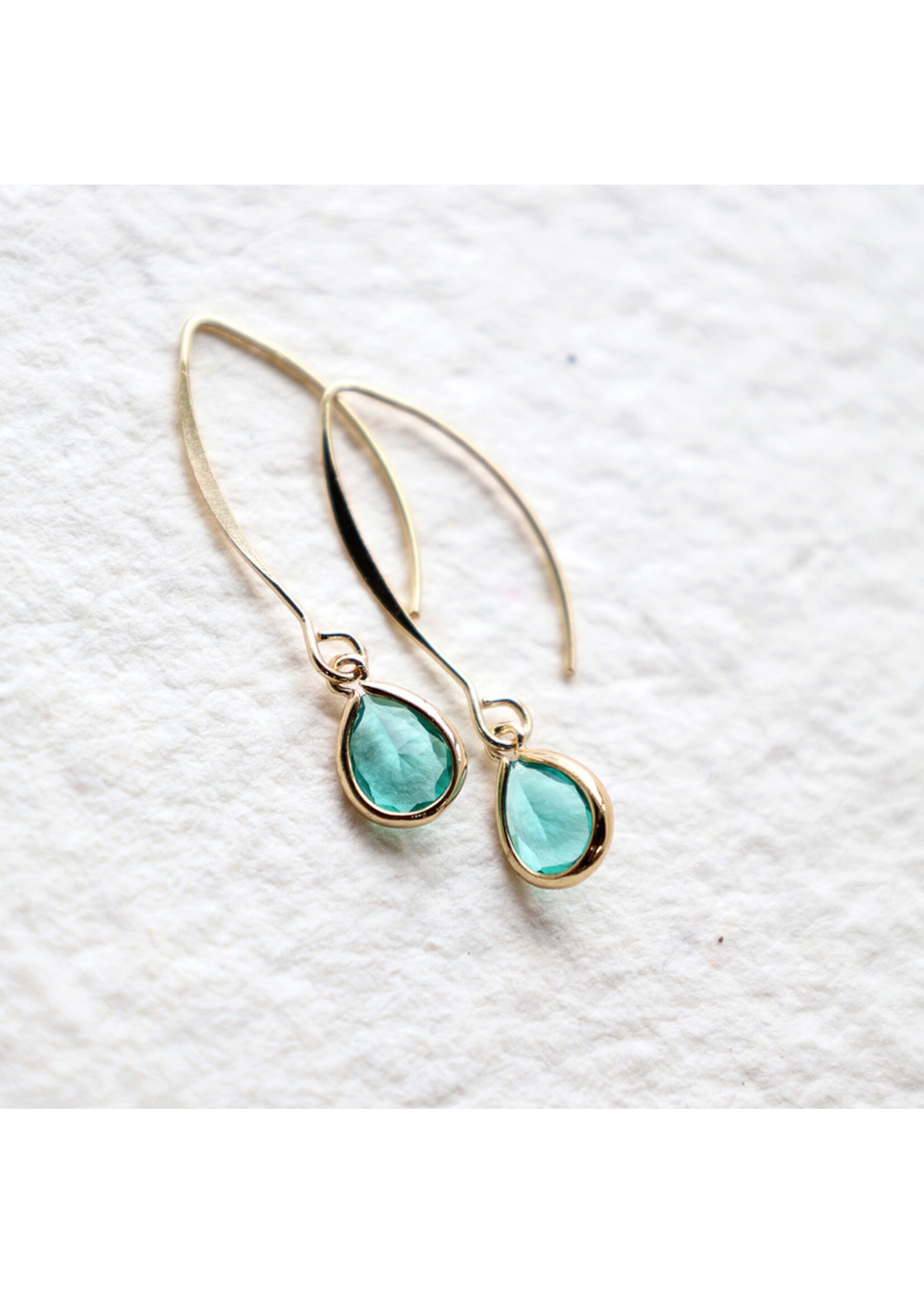 Earhooks with small faceted drop