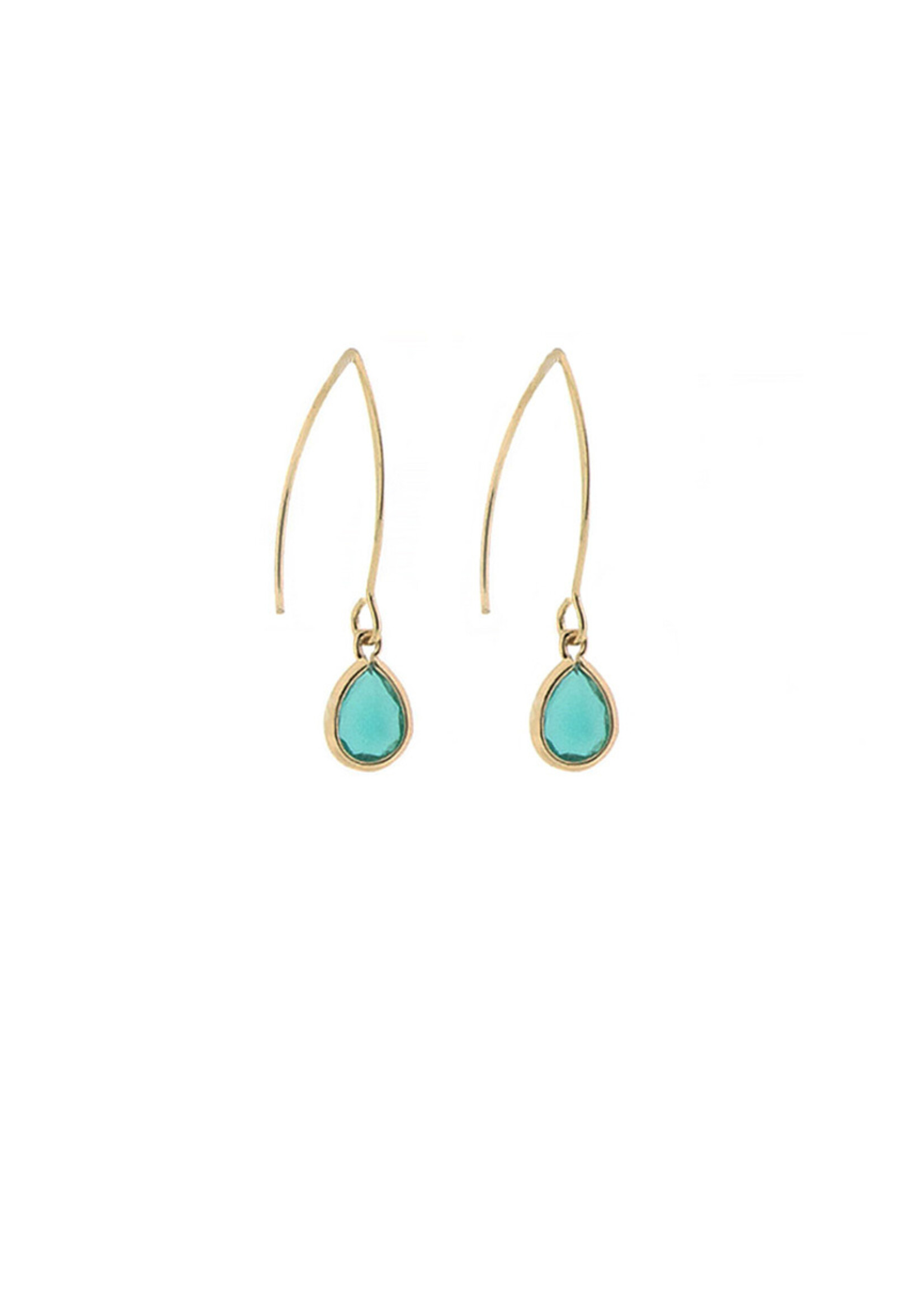 Earhooks with small faceted drop