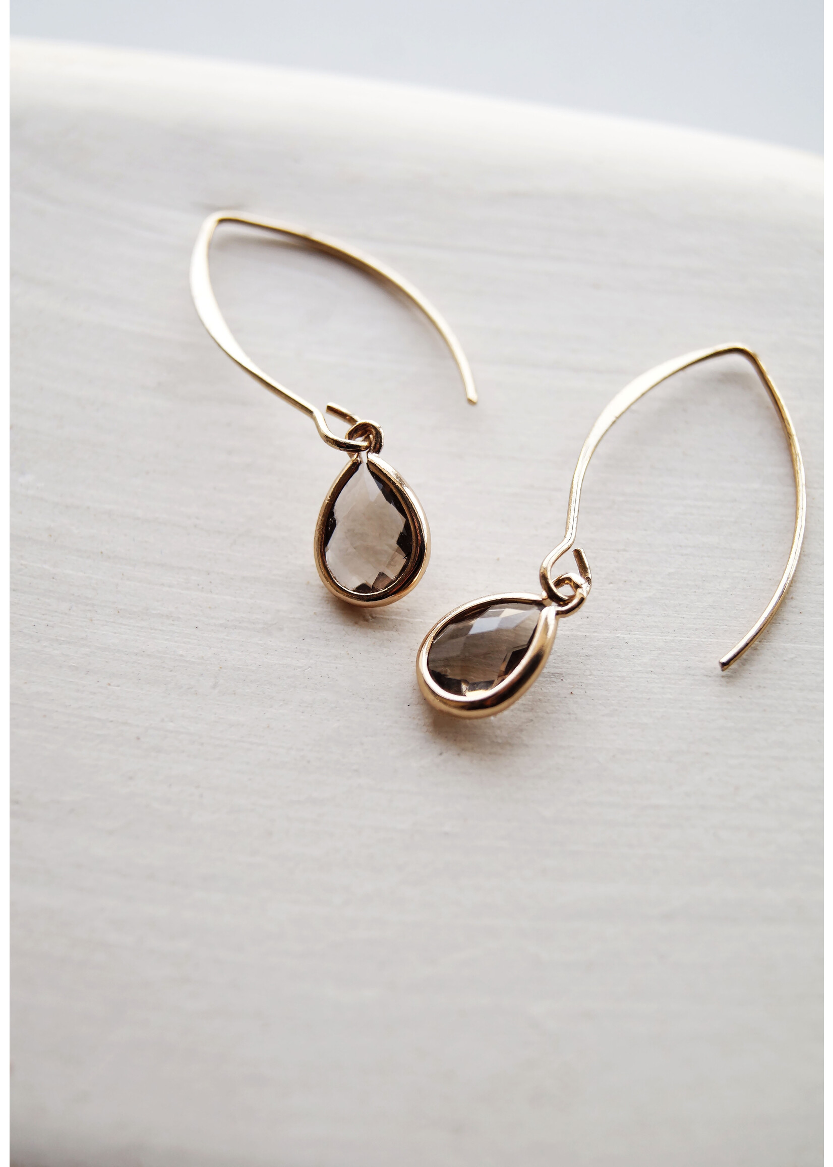 Earhooks with small faceted drop