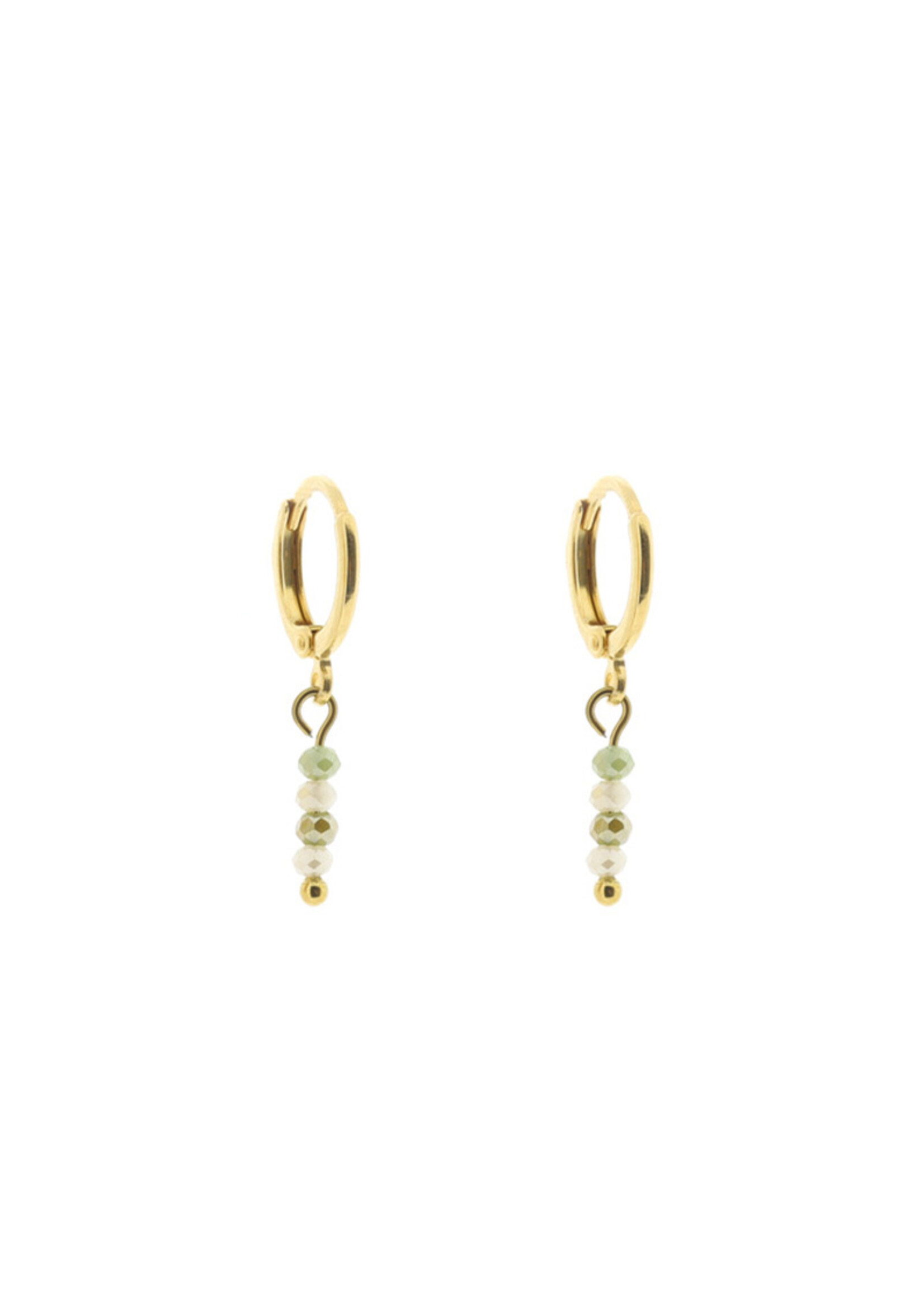Earrings with charm and beads