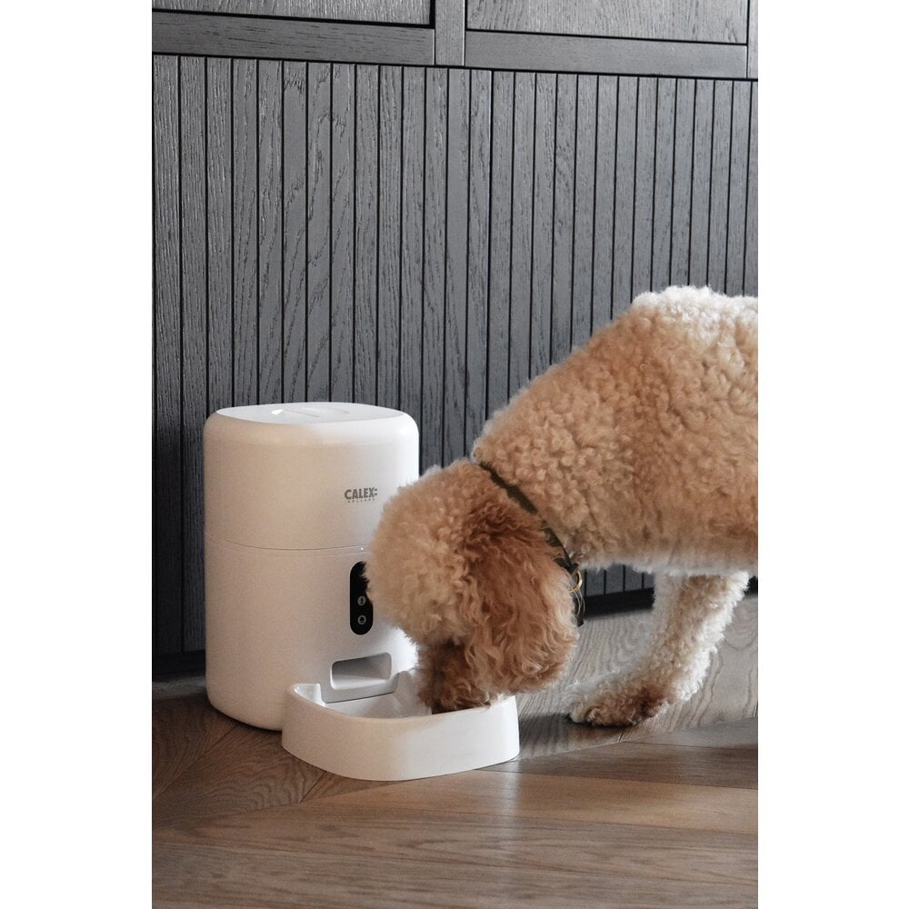 Calex Alimentador de mascotas inteligente Calex con cámara HD - 5 años de garantía