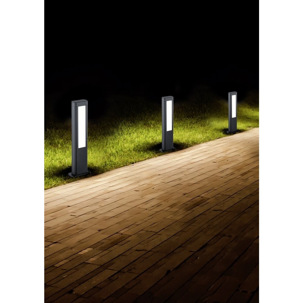 Trio Lighting Lámpara de exterior de pie - 50 cm - 3000K - 5,5W - IP54 - Rin - Antracita