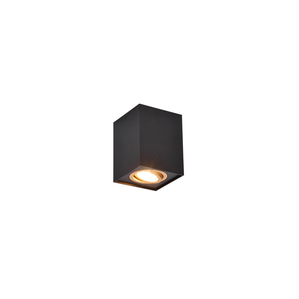 Trio Lighting Foco cuadrado de montaje en superficie GU10 - Accesorio GU10 - Negro