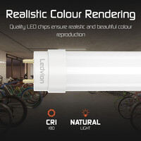Ledvion Tubo LED 120 cm - 18W - 1800 Lúmenes - 4000K - 3 años de garantía