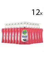 Dettol Handzeep - Winterbessen - 250ml x12