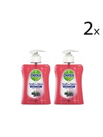 Dettol Handzeep - Winterbessen - 250ml x2