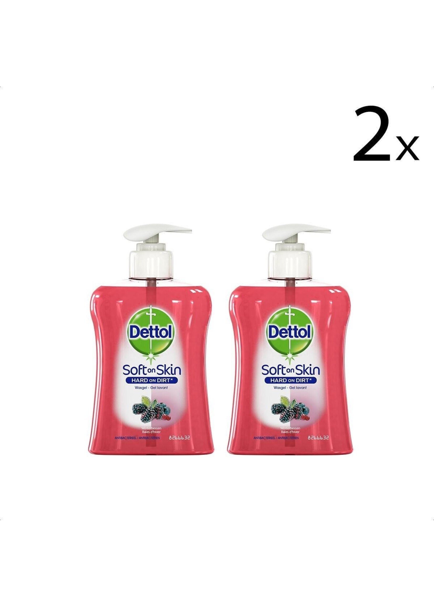 Dettol Handzeep - Winterbessen - 250ml x2