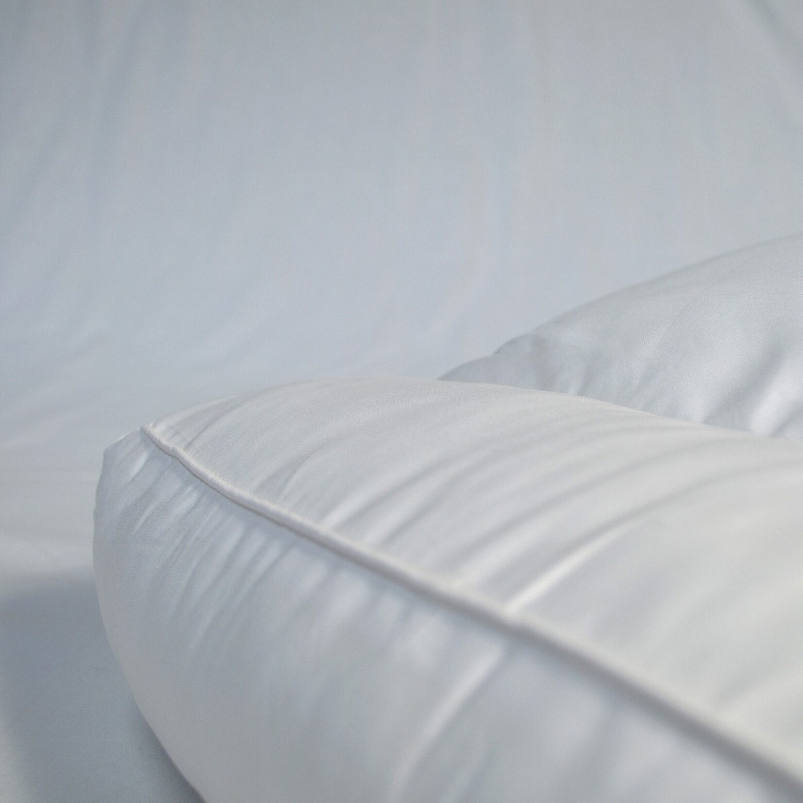 Zydante Swisstech Zydante Swisstech Box Nekkussen