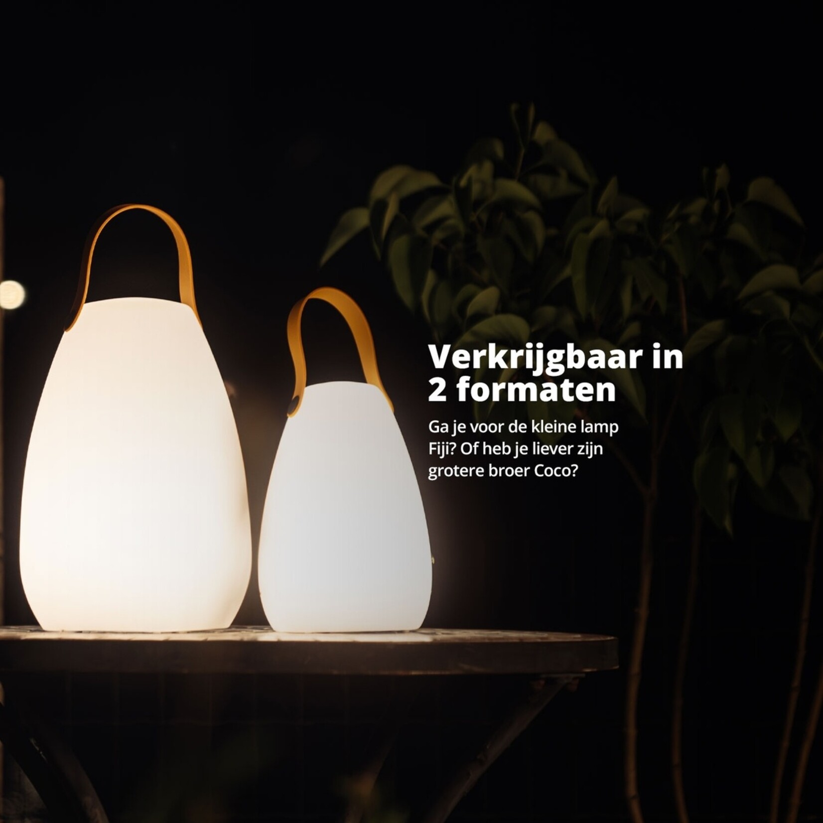 FlinQ FlinQ Fiji Oplaadbare Tafellamp voor Binnen en Buiten - Gekleurd en Wit LED