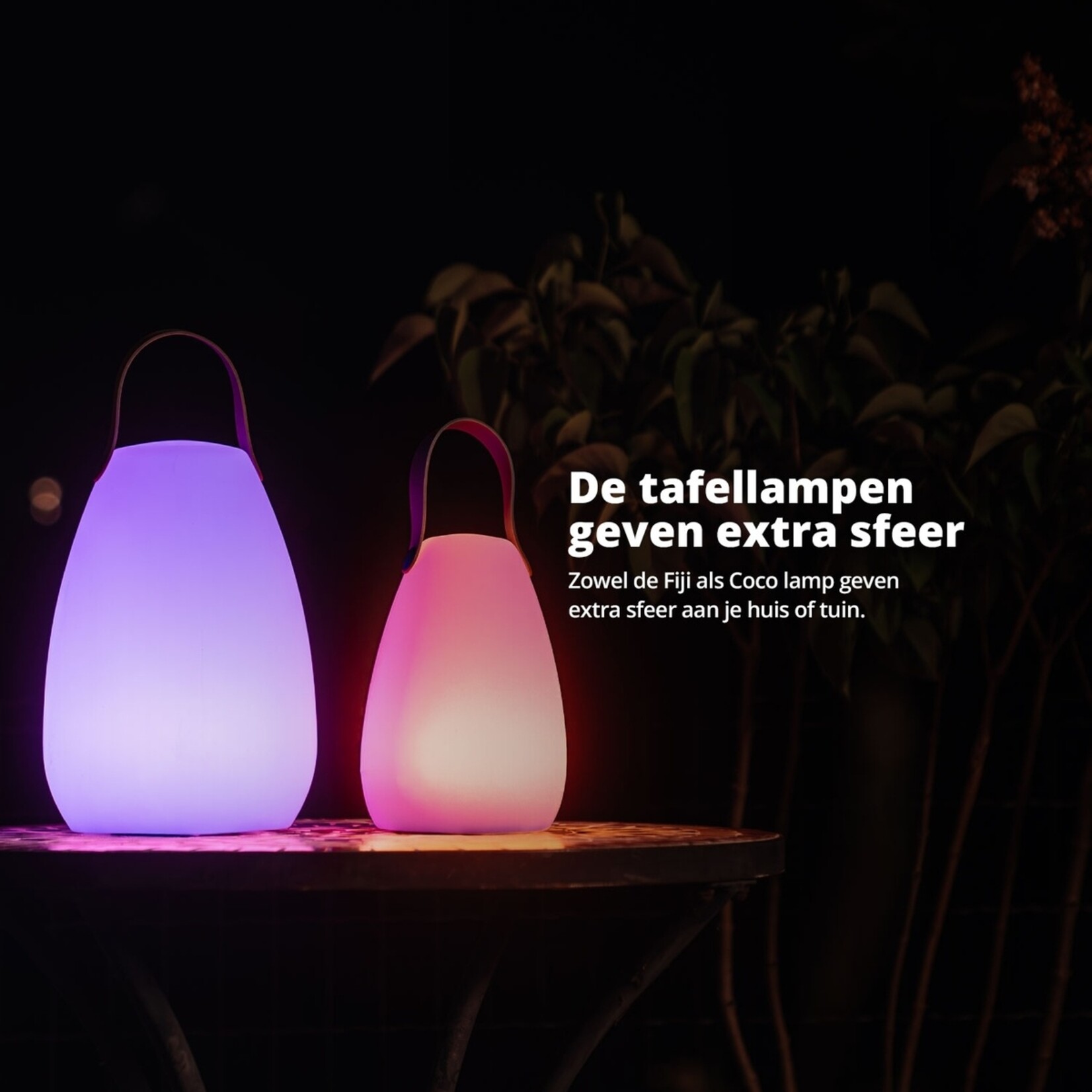 FlinQ FlinQ Fiji Oplaadbare Tafellamp voor Binnen en Buiten - Gekleurd en Wit LED