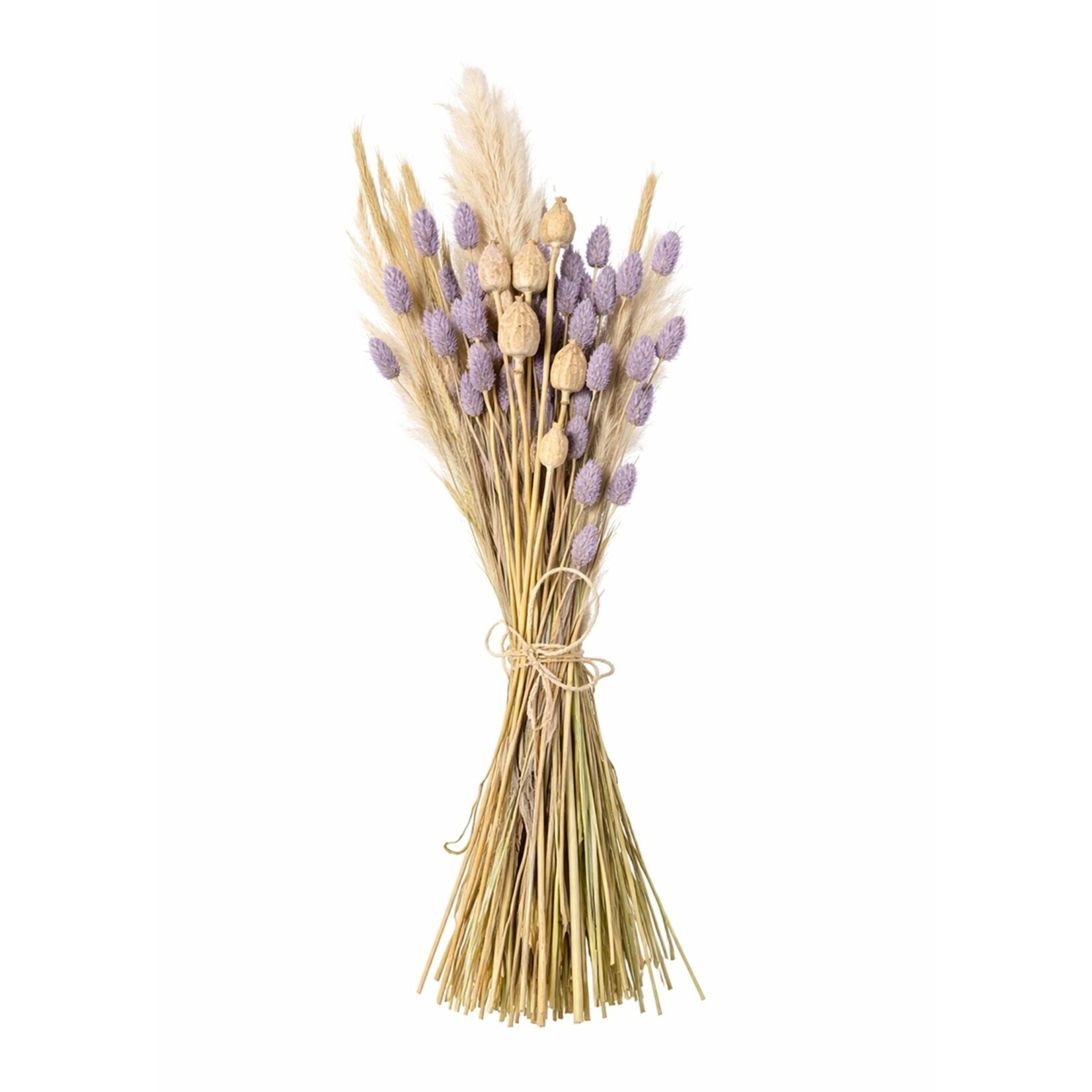 Merkloos Droogboeket met Pampasgras, Tarwe en Papavers 50-55 cm
