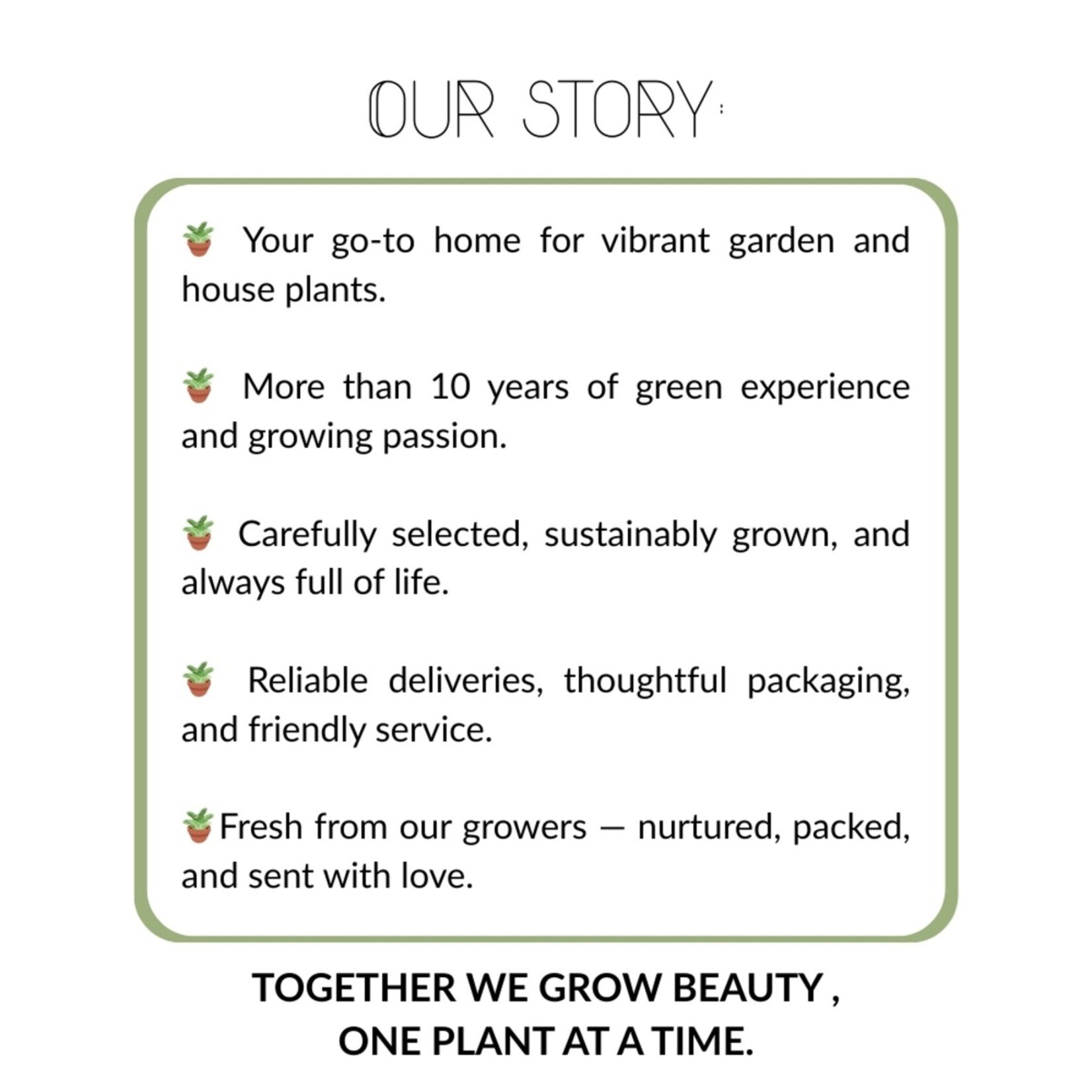 NatureNest Eucalyptus - Set van 2 - Compacte Eucalyptus - Hartvormig Grijs – Botanic Hearts