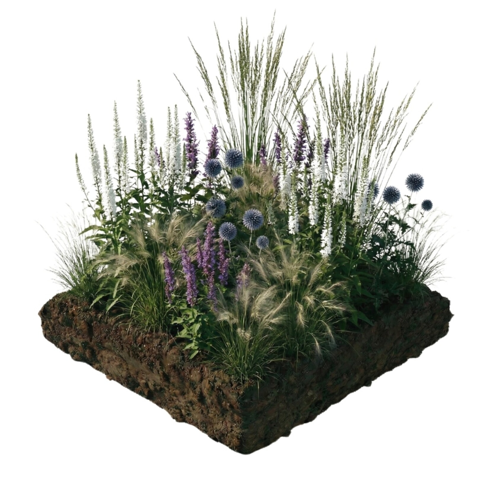 NatureNest Borderpakket Isa - Vaste Borderplantenmix - Kleurrijke Tuinborder
