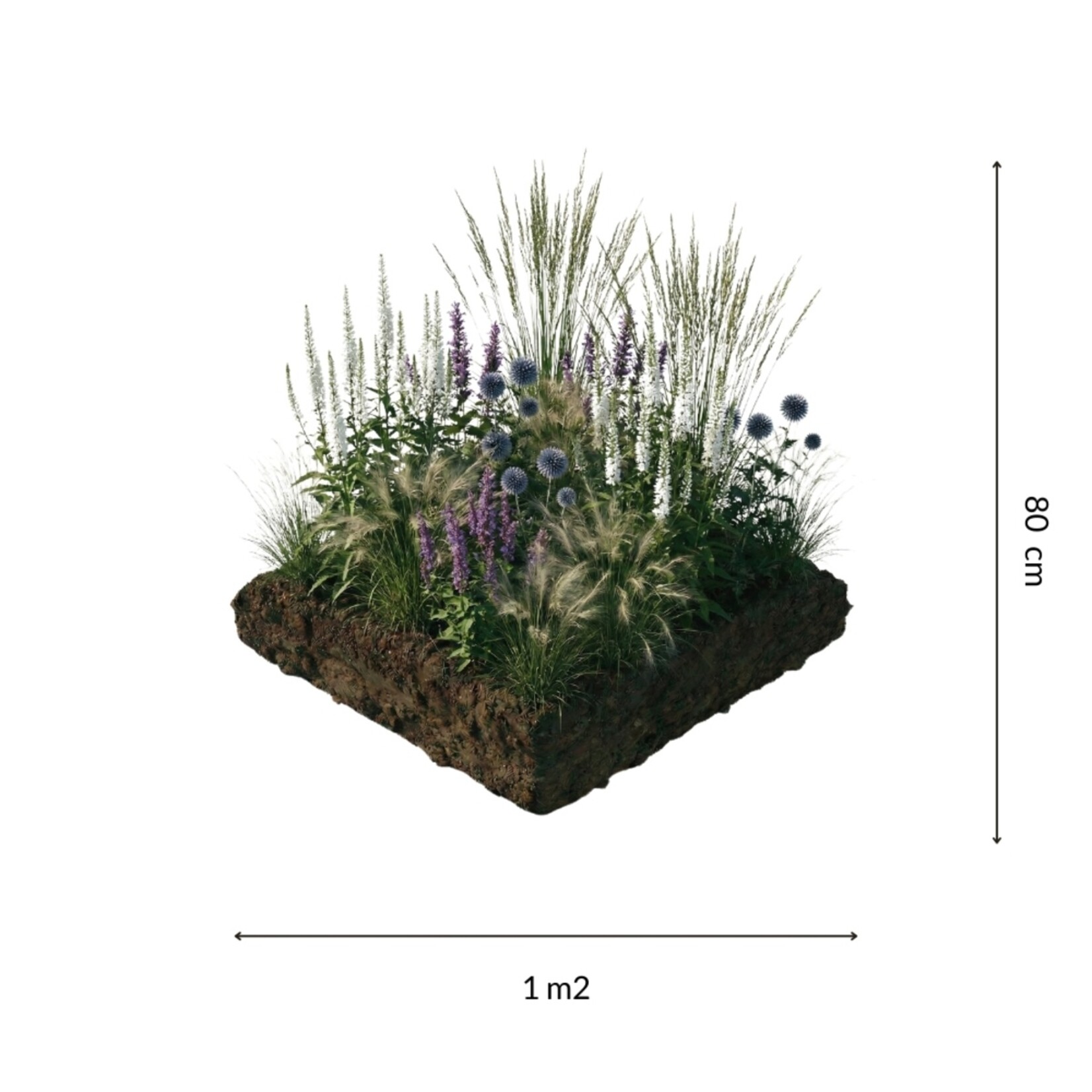 NatureNest Borderpakket Isa - Vaste Borderplantenmix - Kleurrijke Tuinborder