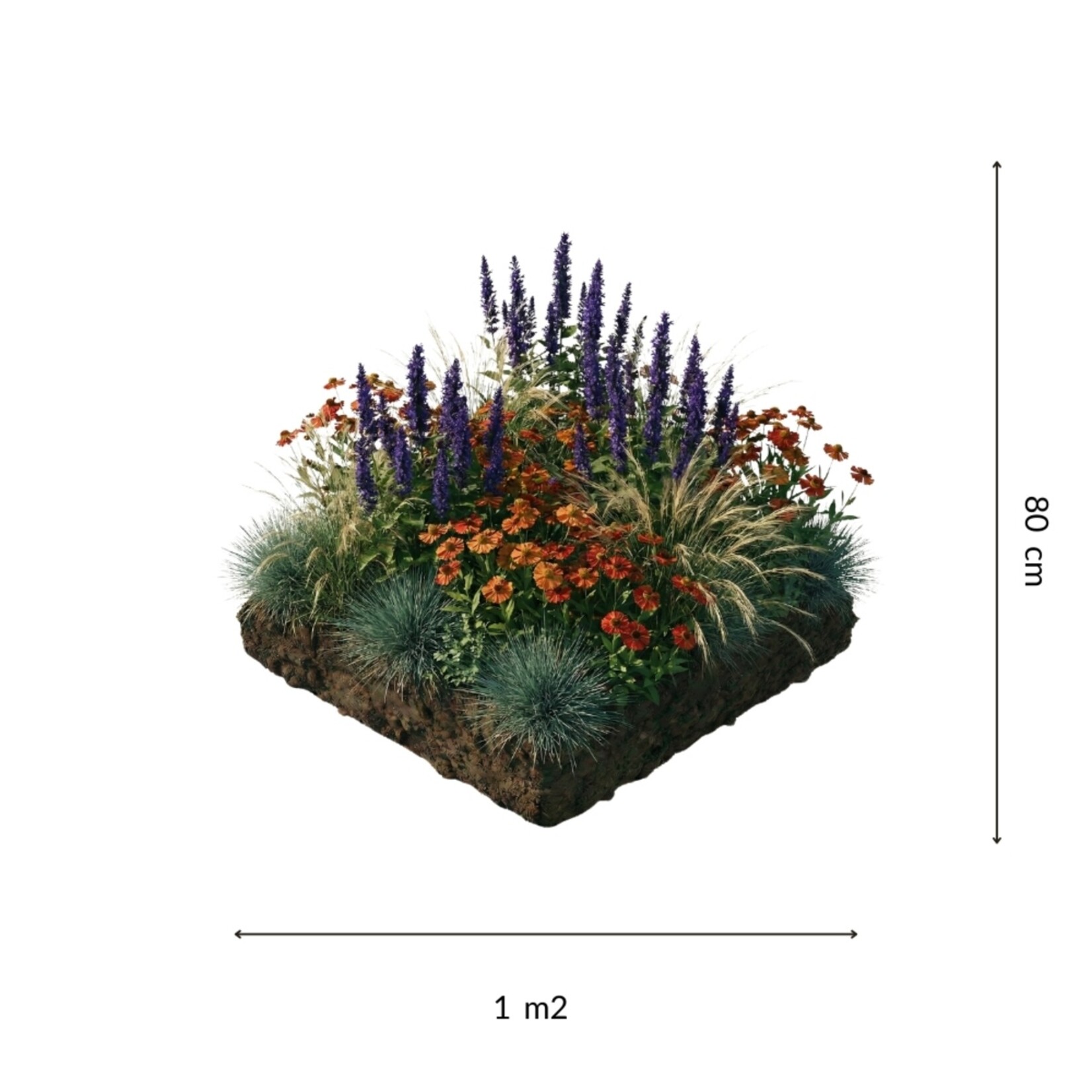 NatureNest Borderpakket Amber - Vaste Borderplanten Mix - Kleurrijke Tuinborder