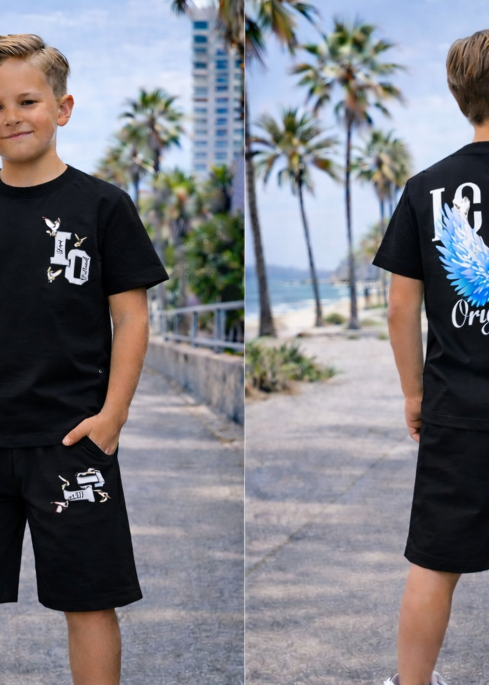 Icon Wings Set Black