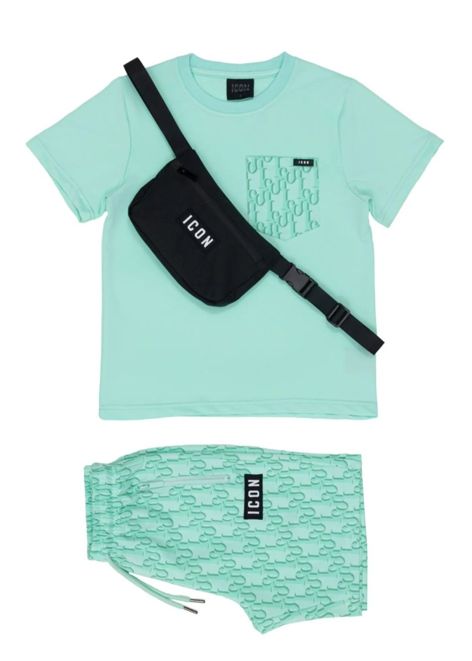 Icon Designed Set Mint