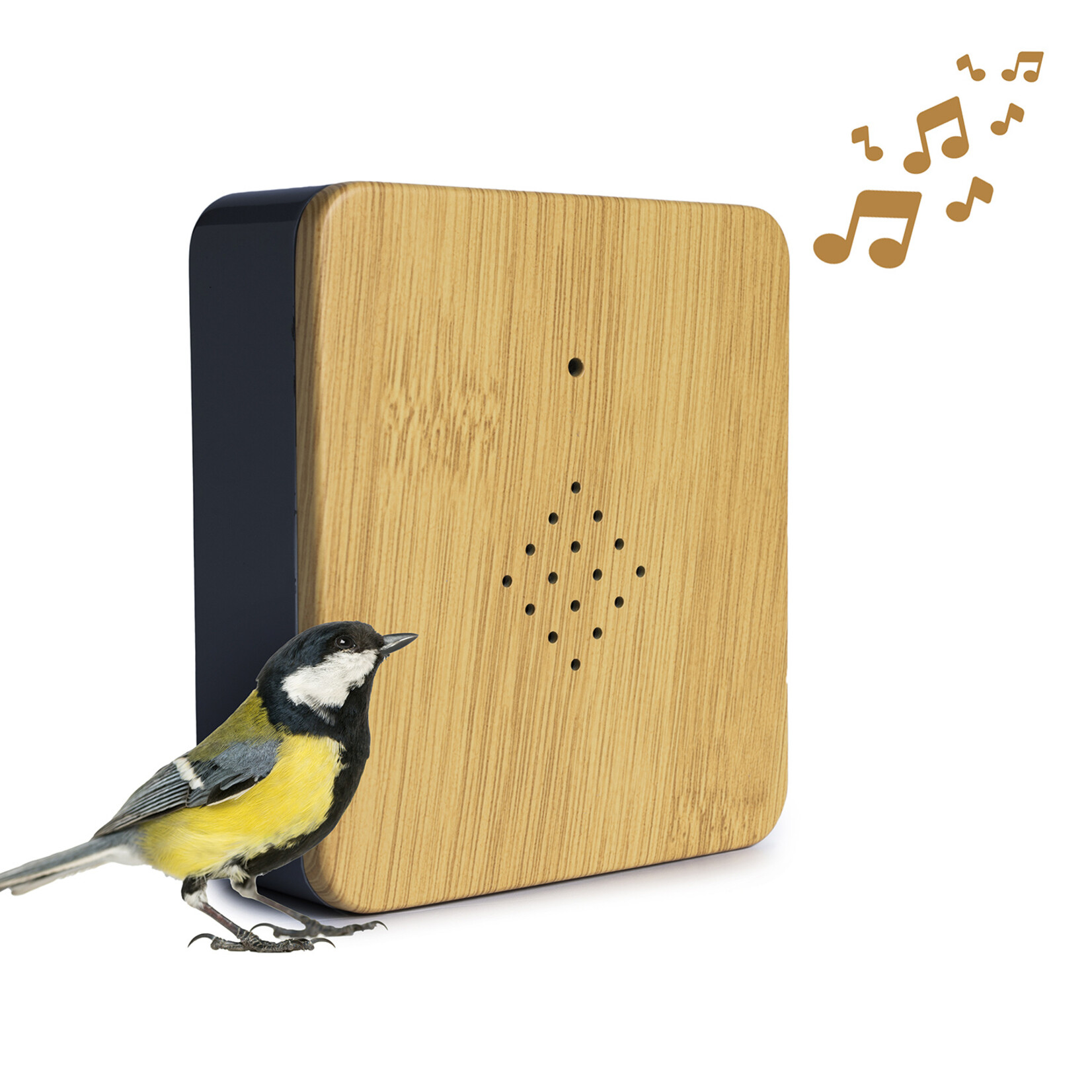QLT No Less QLT Vogelhuisje met Geluid en Sensor - Vogelgeluiden
