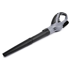 QLT No Less QLT Accu Bladblazer met Lader – Compact, Licht, Stil en Krachtig – 12V