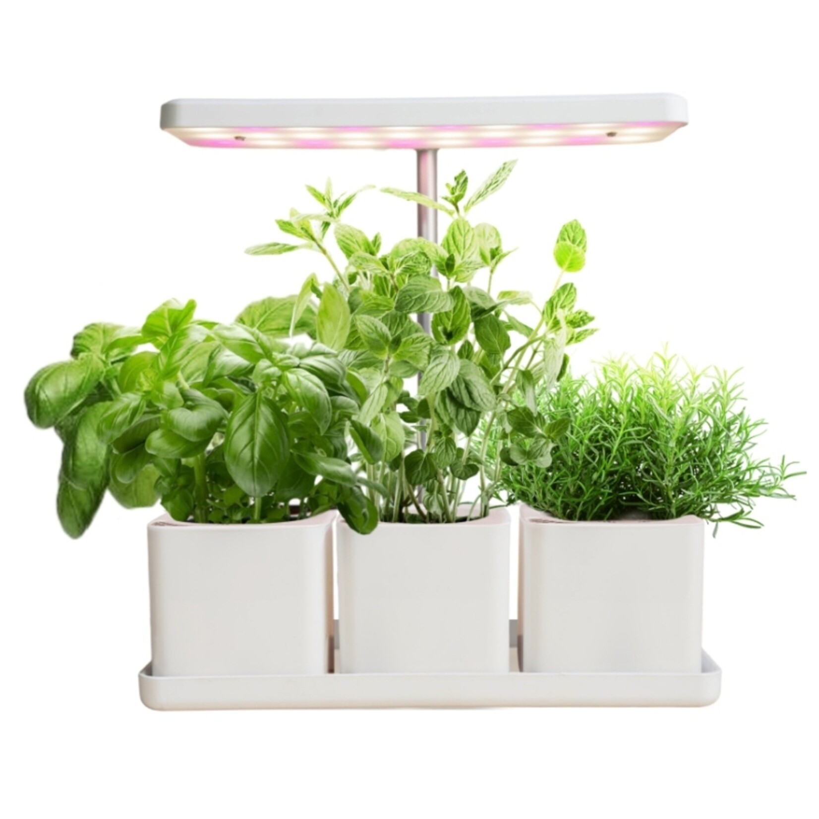 SPR SPR Kweekstation met LED Groeilamp en Timer