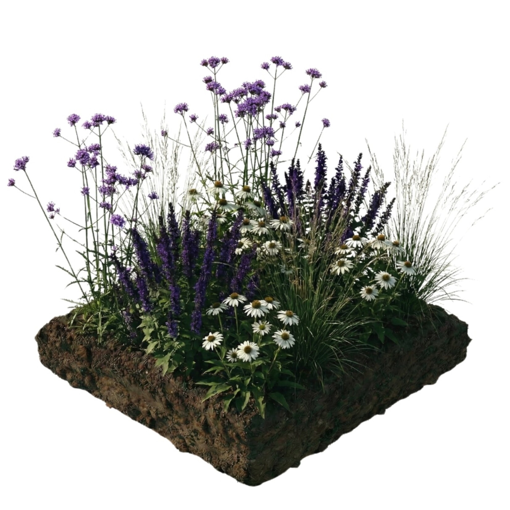 NatureNest Borderpakket Joy - Vaste Borderplanten Mix - Kleurrijke Bloeiers voor de Tuin