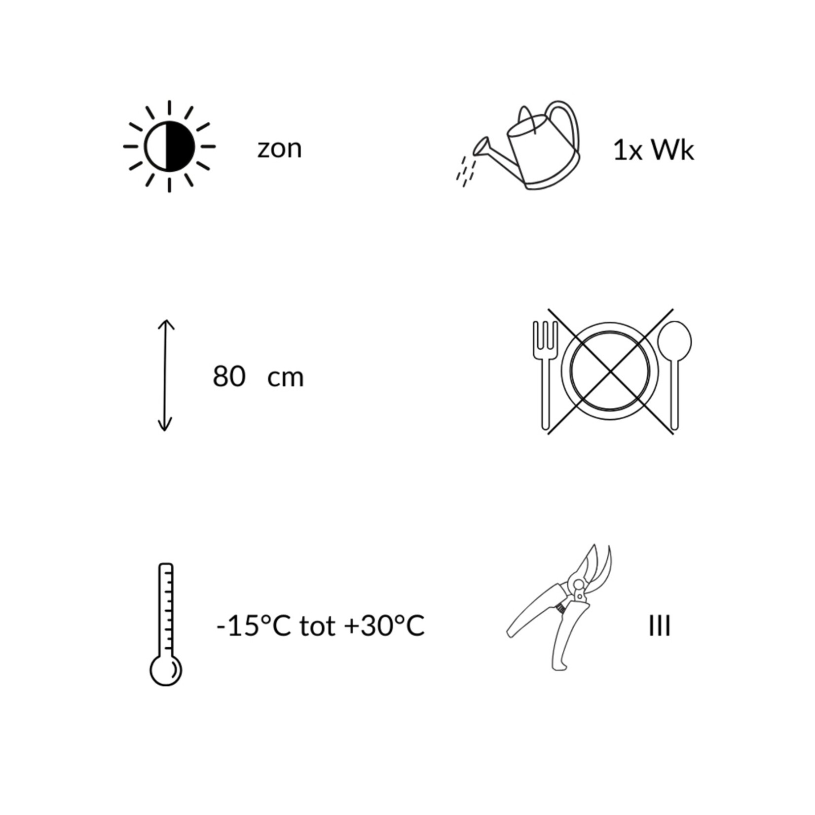 NatureNest Borderpakket Zoë - Vaste Borderplanten Mix - Kleurrijke Tuinborder