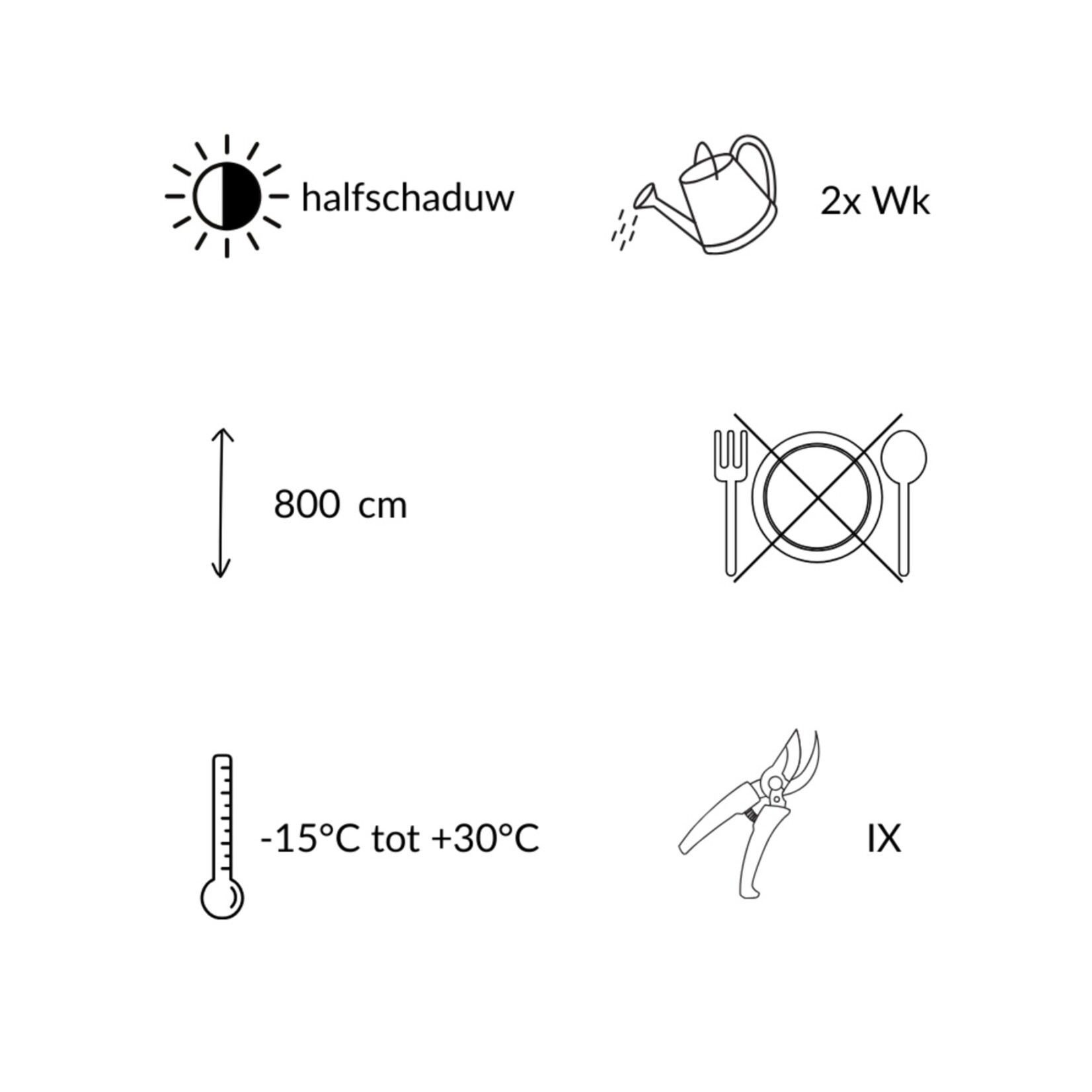 NatureNest Japanse Esdoorn Kleuren Mix - Set van 4 Japanse Esdoorns - Acer Palmatum - Bonte Bladkleuren