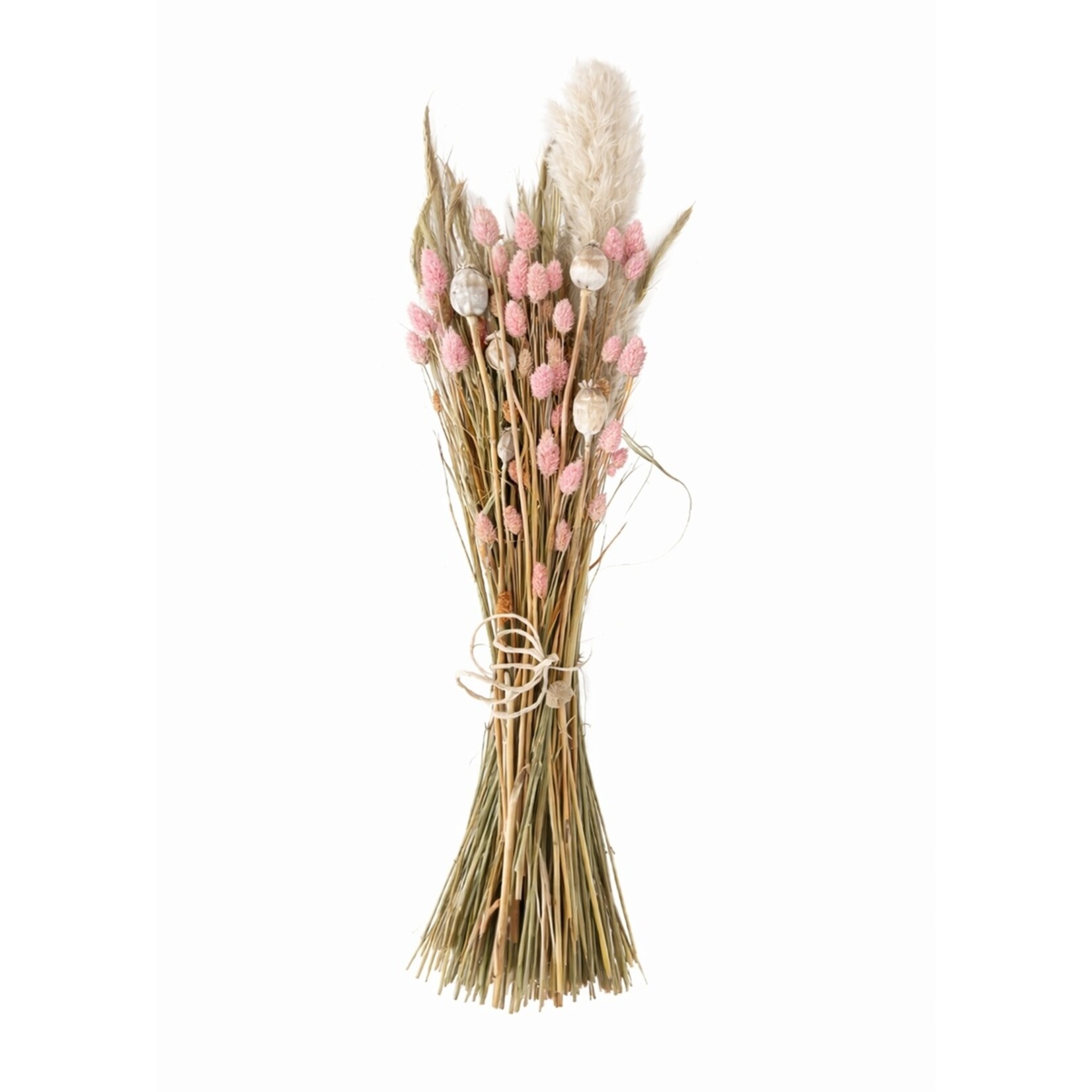 Merkloos Droogboeket met Pampasgras, Tarwe en Papavers 50-55 cm