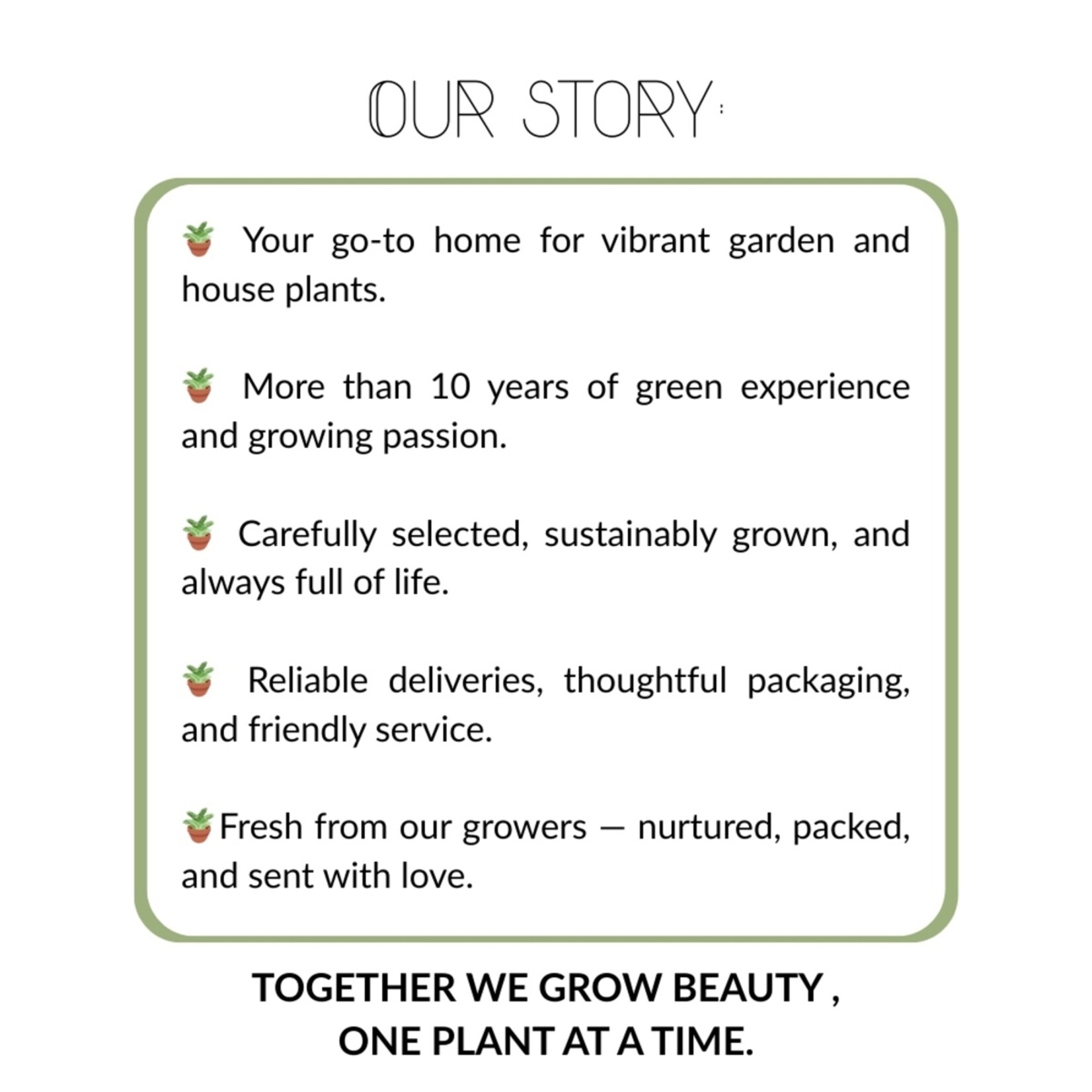 NatureNest Borderpakket Yara - Vaste Borderplanten Mix